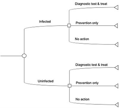 Economic Benefits of Diagnostic Testing in Livestock: Anaplasmosis in Cattle